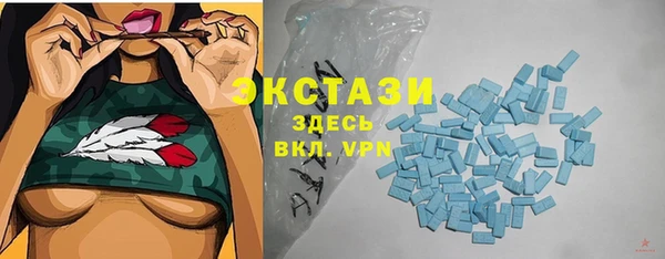 PSILOCYBIN Алзамай