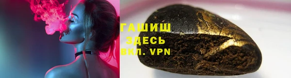 PSILOCYBIN Алзамай