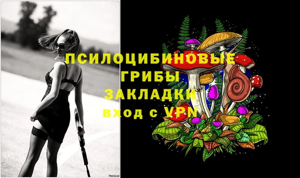PSILOCYBIN Алзамай