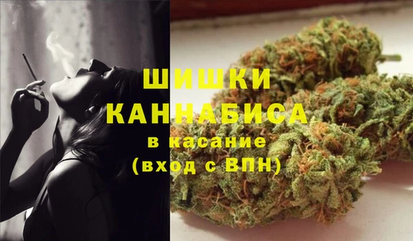 PSILOCYBIN Алзамай
