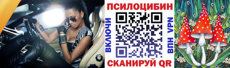 где найти наркотики  Чусовой  Галлюциногенные грибы MAGIC MUSHROOMS 