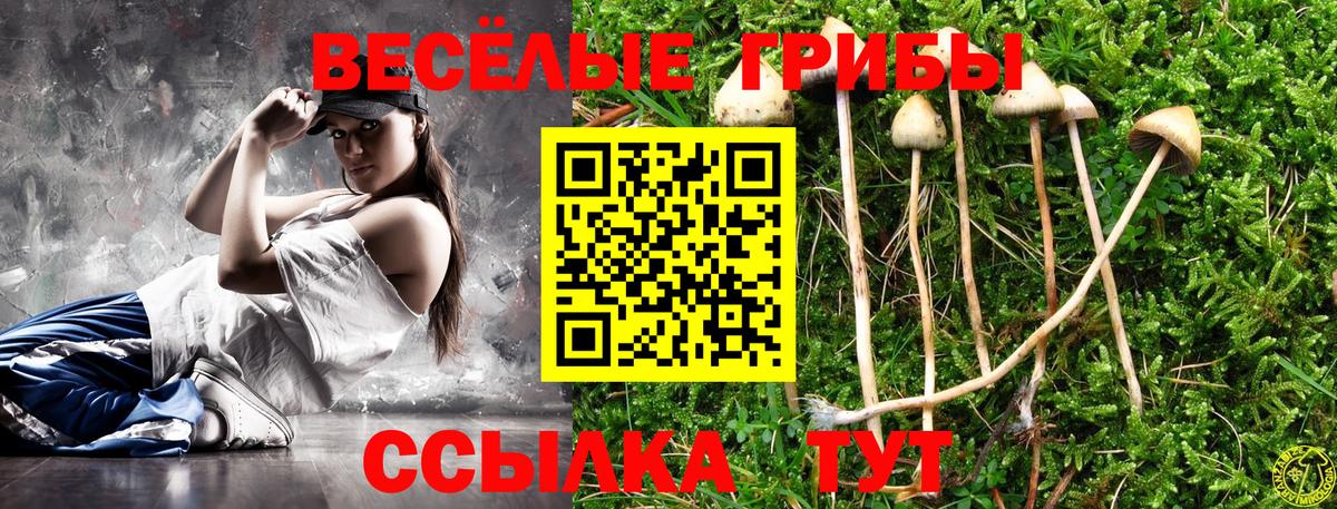Галлюциногенные грибы мухоморы Чусовой
