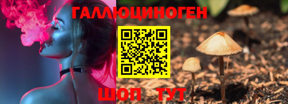 Чусовой  Псилоцибиновые грибы Cubensis  Вход с VPN  Галлюциногенные грибы ЛСД 