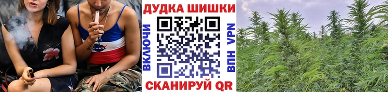 Каннабис SATIVA & INDICA  купить наркотик  Чусовой 